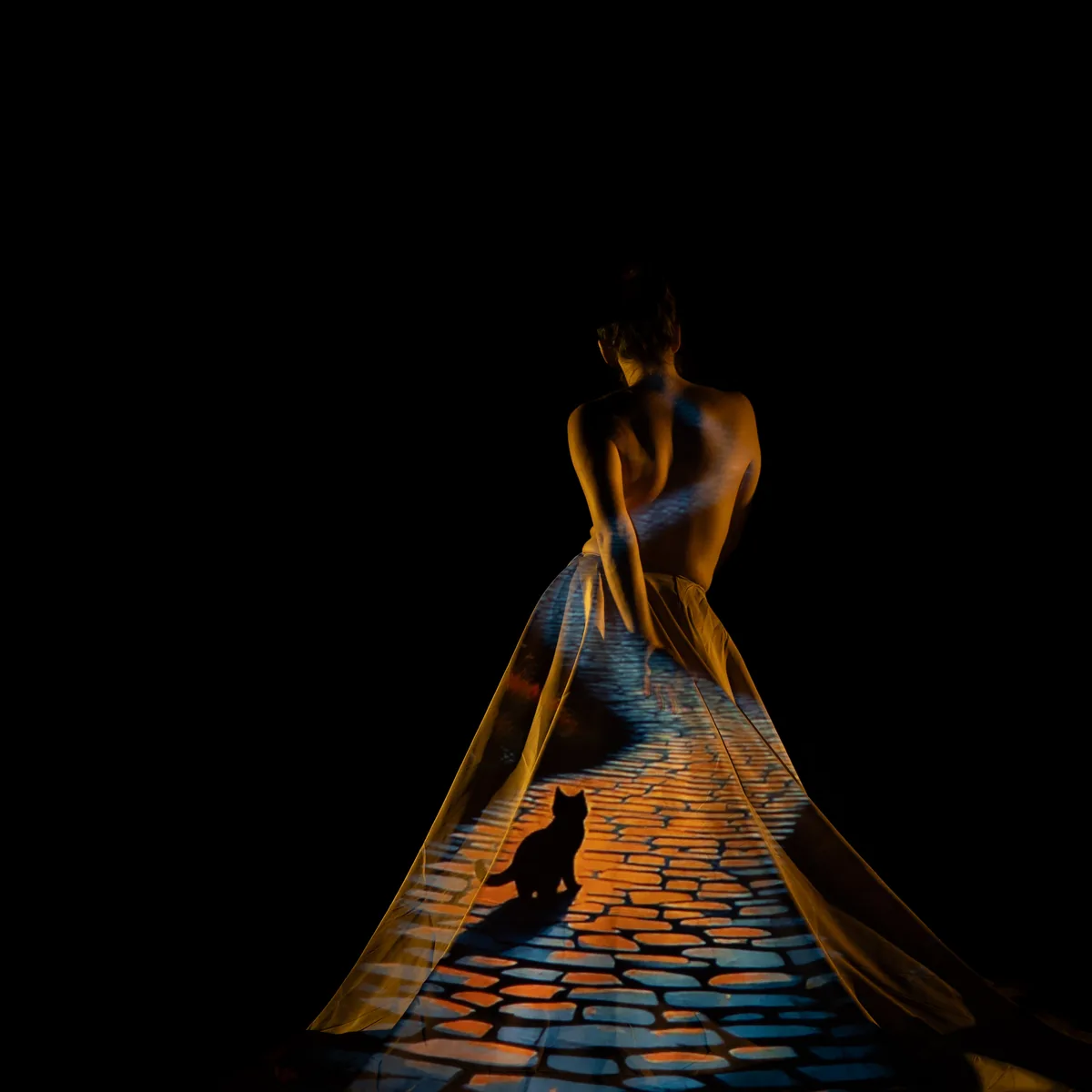 A portrait of a person with bare back seated and turned slightly away, wearing a flowing skirt onto which an image of a cobblestone path and a cat silhouette is projected in warm and cool tones.